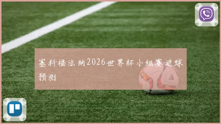 塞科福法纳2026世界杯小组赛进球预测