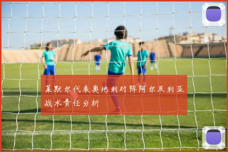 莱默尔代表奥地利对阵阿尔及利亚战术责任分析