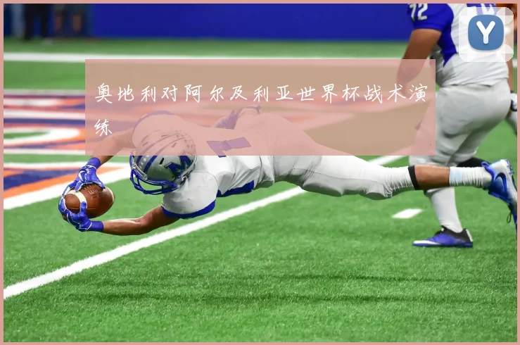 奥地利对阿尔及利亚世界杯战术演练