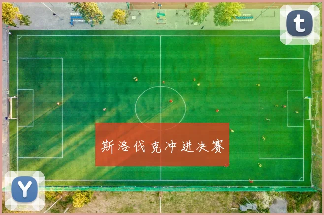 斯洛伐克冲进决赛