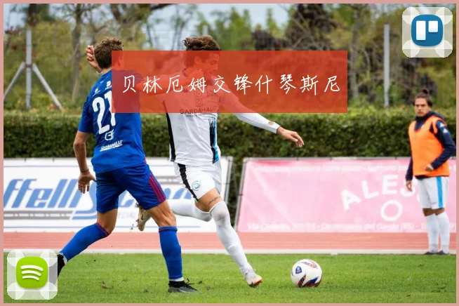 贝林厄姆交锋什琴斯尼