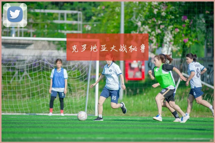 克罗地亚大战秘鲁