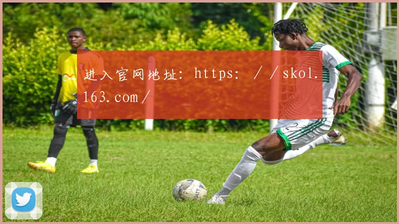 进入官网地址：https：／／skol.163.com／