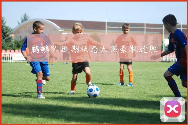 鹈鹕队近期状态火热豪取连胜