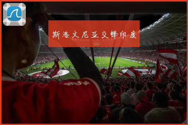 斯洛文尼亚交锋印度
