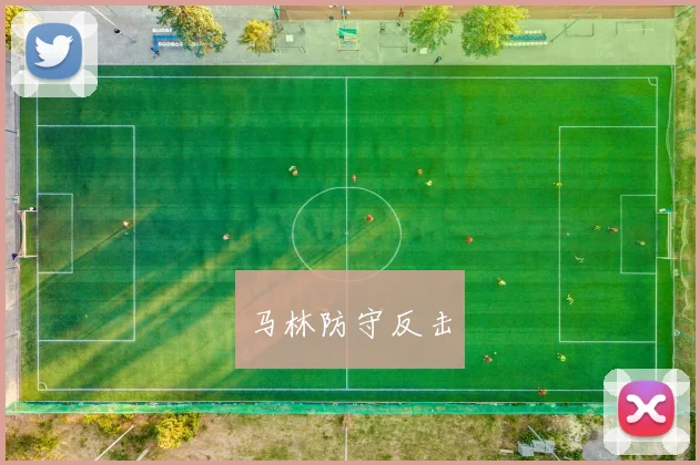 马林防守反击