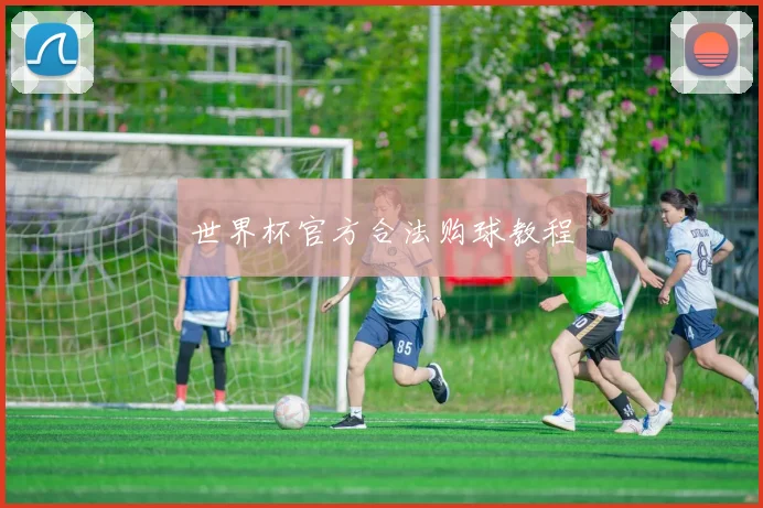 世界杯官方合法购球教程