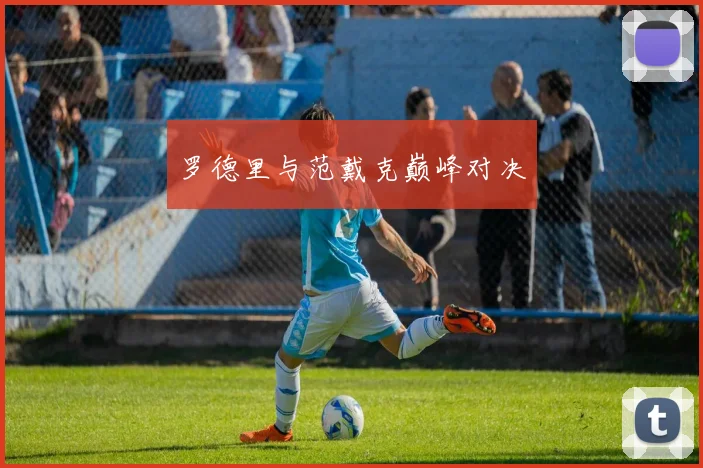 罗德里与范戴克巅峰对决