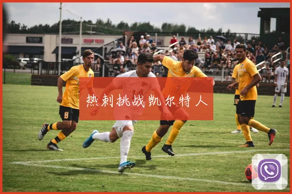 热刺挑战凯尔特人