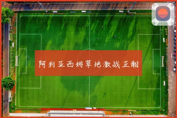 阿利亚西姆草地激战正酣