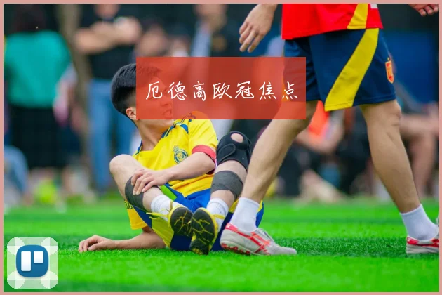 厄德高欧冠焦点