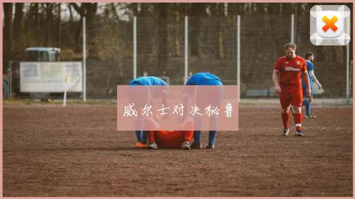 威尔士对决秘鲁