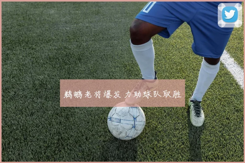 鹈鹕老将爆发力助球队取胜