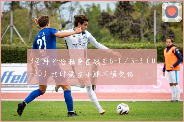 3号种子哈勒普在战至6-1／3-3（0-30）的时候左小腿不慎受伤