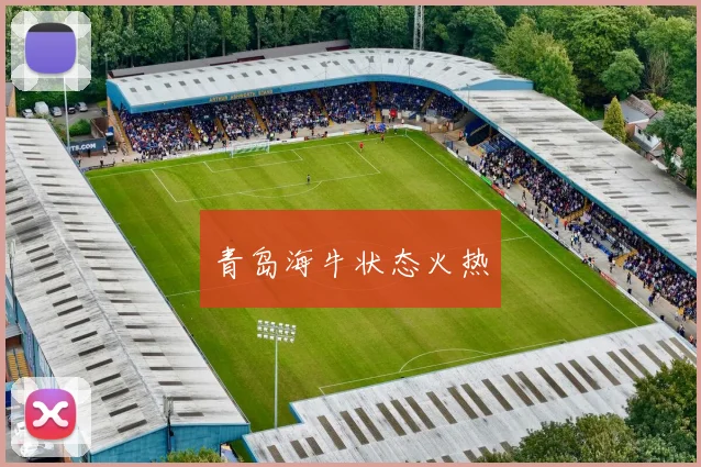 青岛海牛状态火热