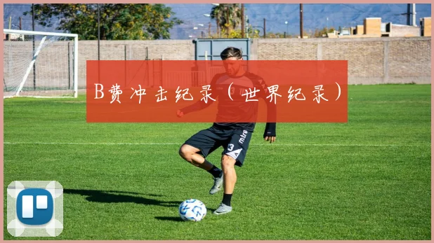 B费冲击纪录（世界纪录）