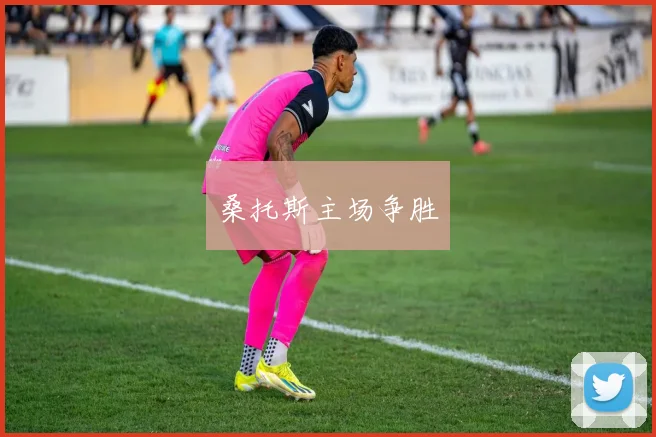 桑托斯主场争胜
