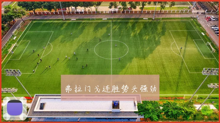弗拉门戈连胜势头强劲