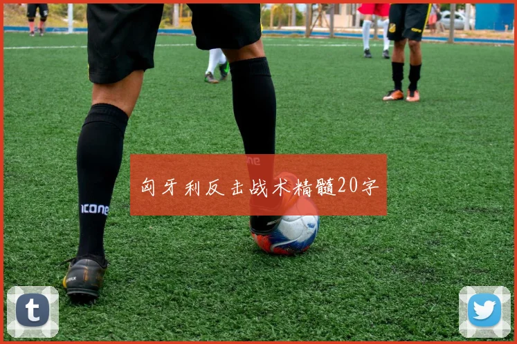 匈牙利反击战术精髓20字