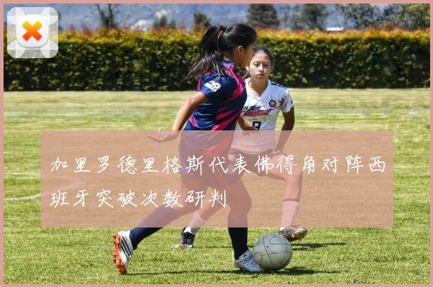加里罗德里格斯代表佛得角对阵西班牙突破次数研判
